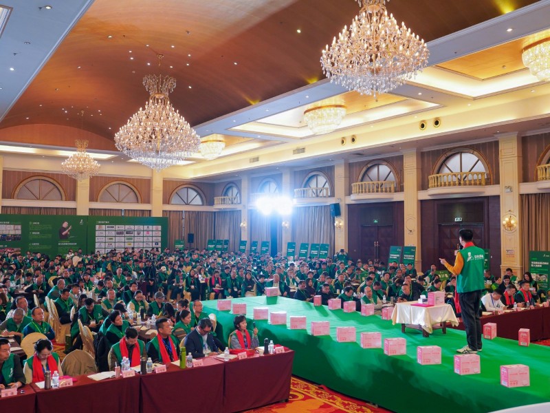 如何选择你的收入模式？