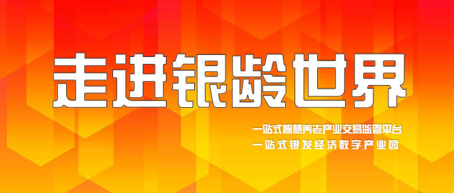 一站式智慧养老产业交易监管平台：银龄世界的革新之路