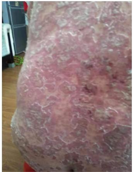 20241107172752_15846.png 图片77.png