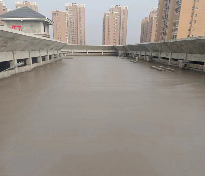 20241028175642_95638.jpg 2.jpg