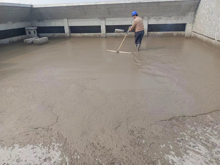 20241028180646_69245.jpg 4.jpg