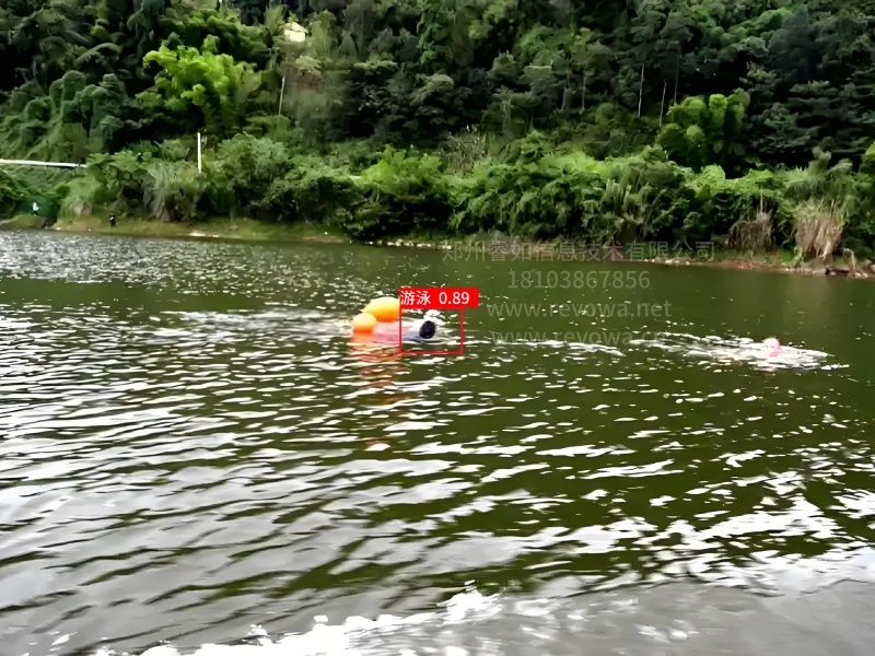 自动识别野外游泳系统